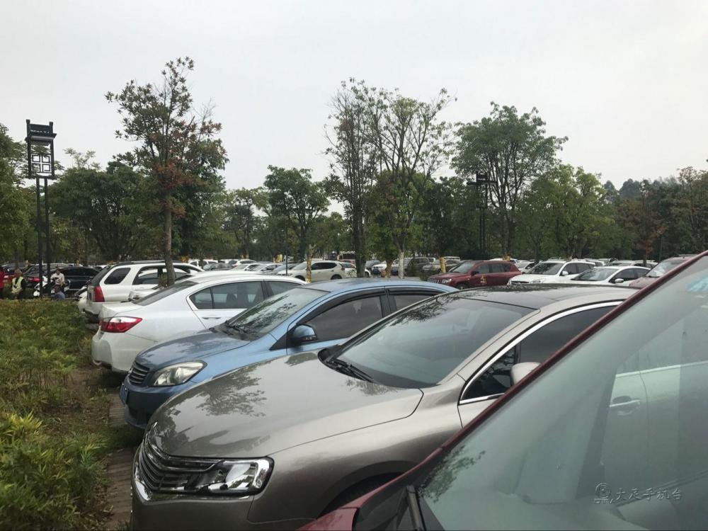 大足石刻景区停车位爆满交巡警及时分流