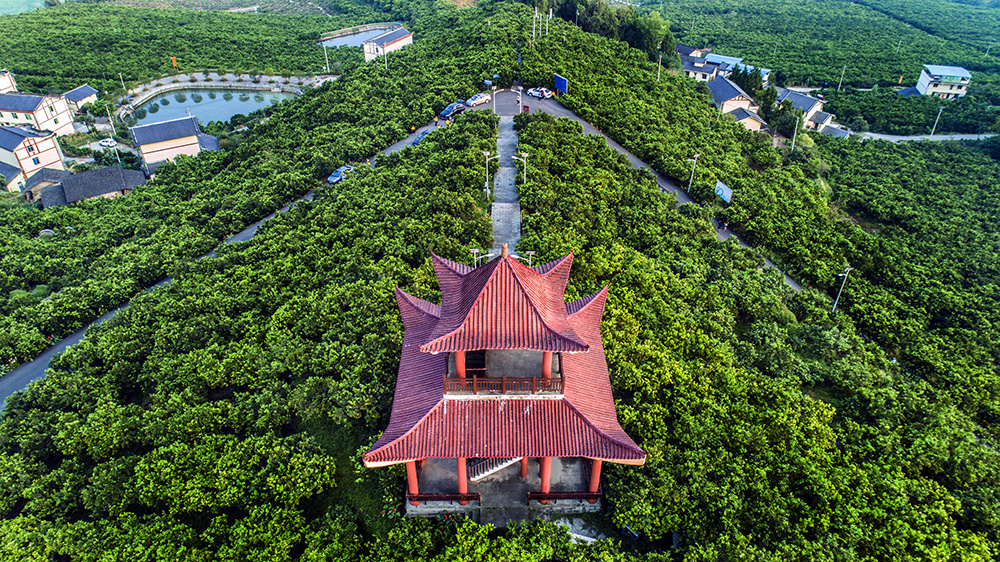 三峽庫心長江盆景重慶忠縣庫心十二景之三峽橘海景區