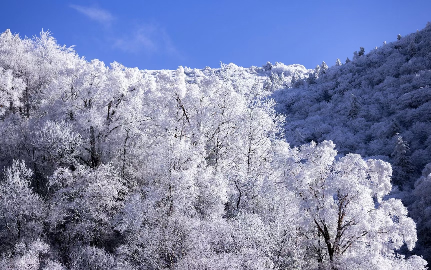 冰雪世界自然成画