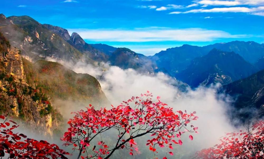 微信图片_20200924190328