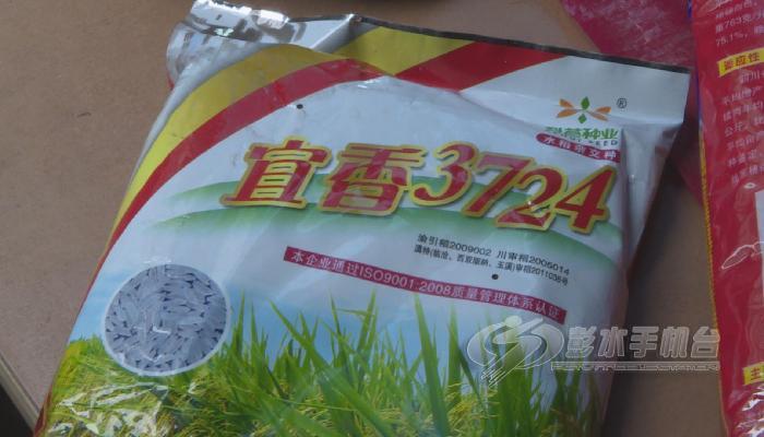 快讯春播种子储备足农民放心备春耕