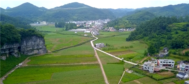 脱贫攻坚成果展播丨大同镇-彭水手机台