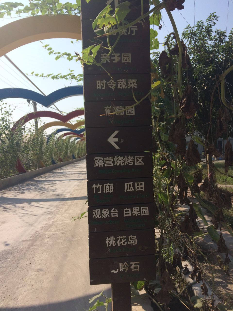 体验农耕生活观赏奇瓜异果綦江农博园耍事多