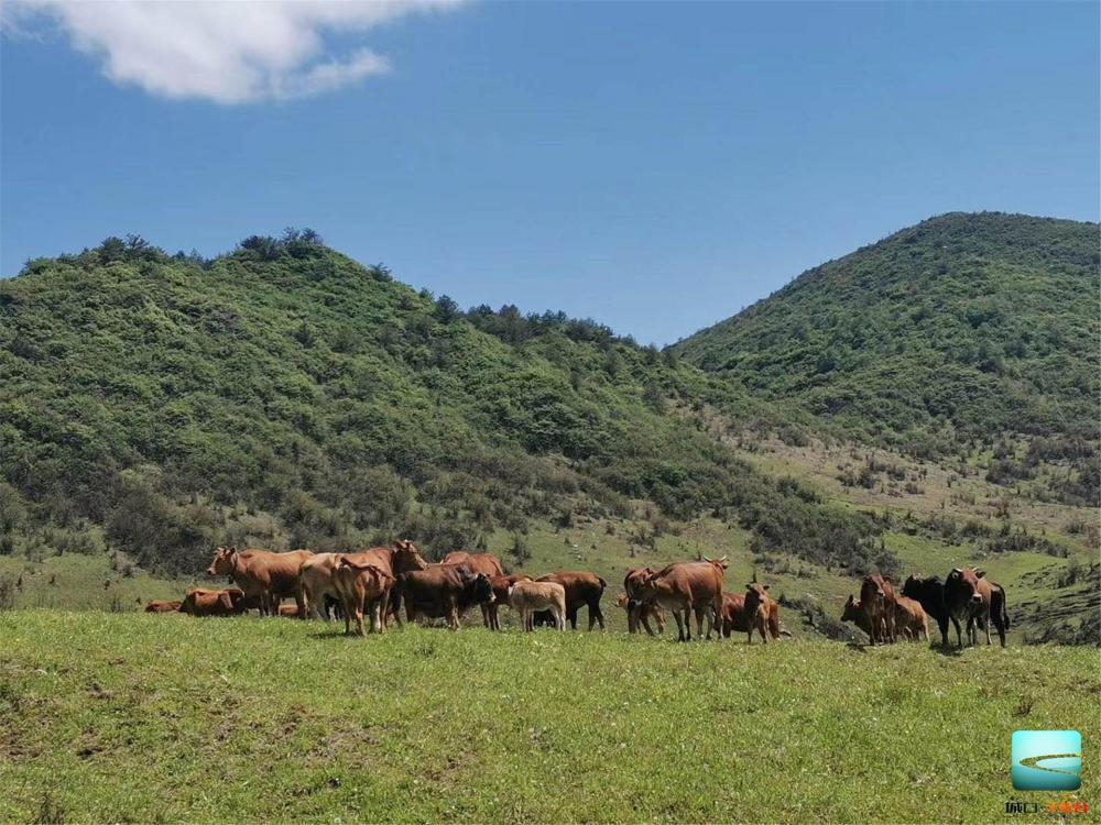 微信图片_20200601174102