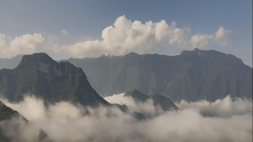 微信图片_20200831110019