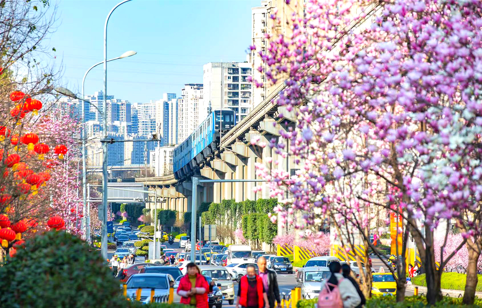 图集|列车驶向希望的春天