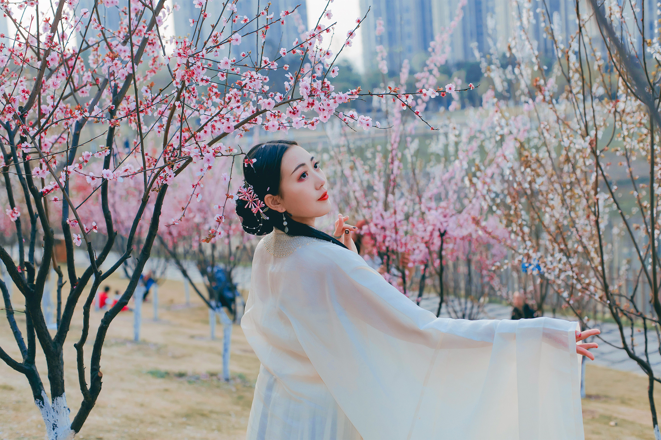 重庆大渡口:春花扮靓城市 赏花正当时