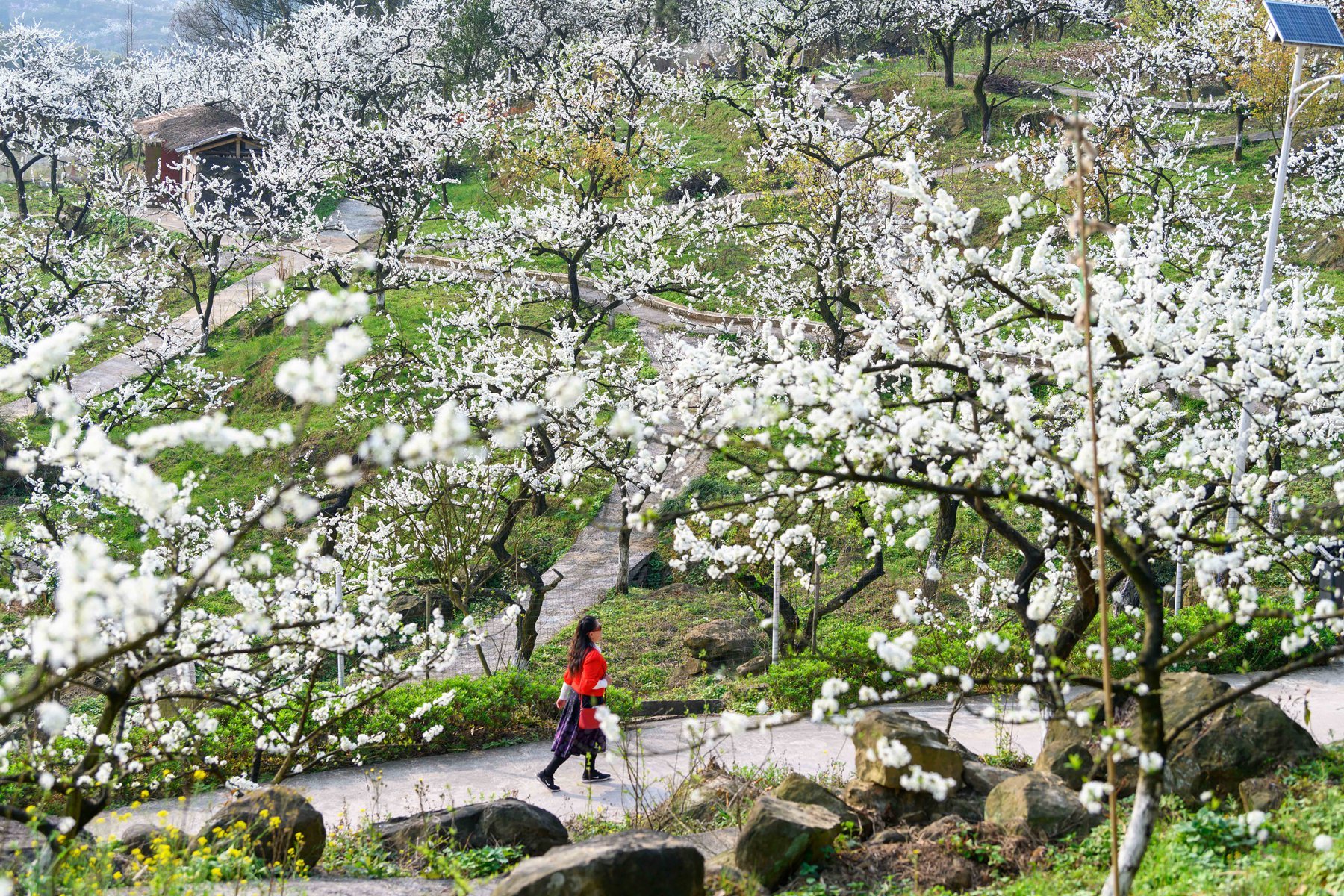 铜梁花果山图片