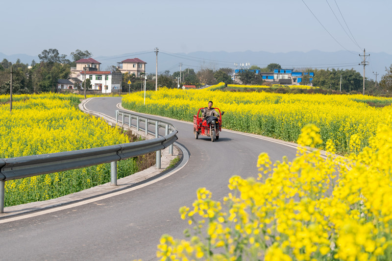 九龙坡:西彭有座花果山 山上山下景如画--重庆新时代文明实践云平台