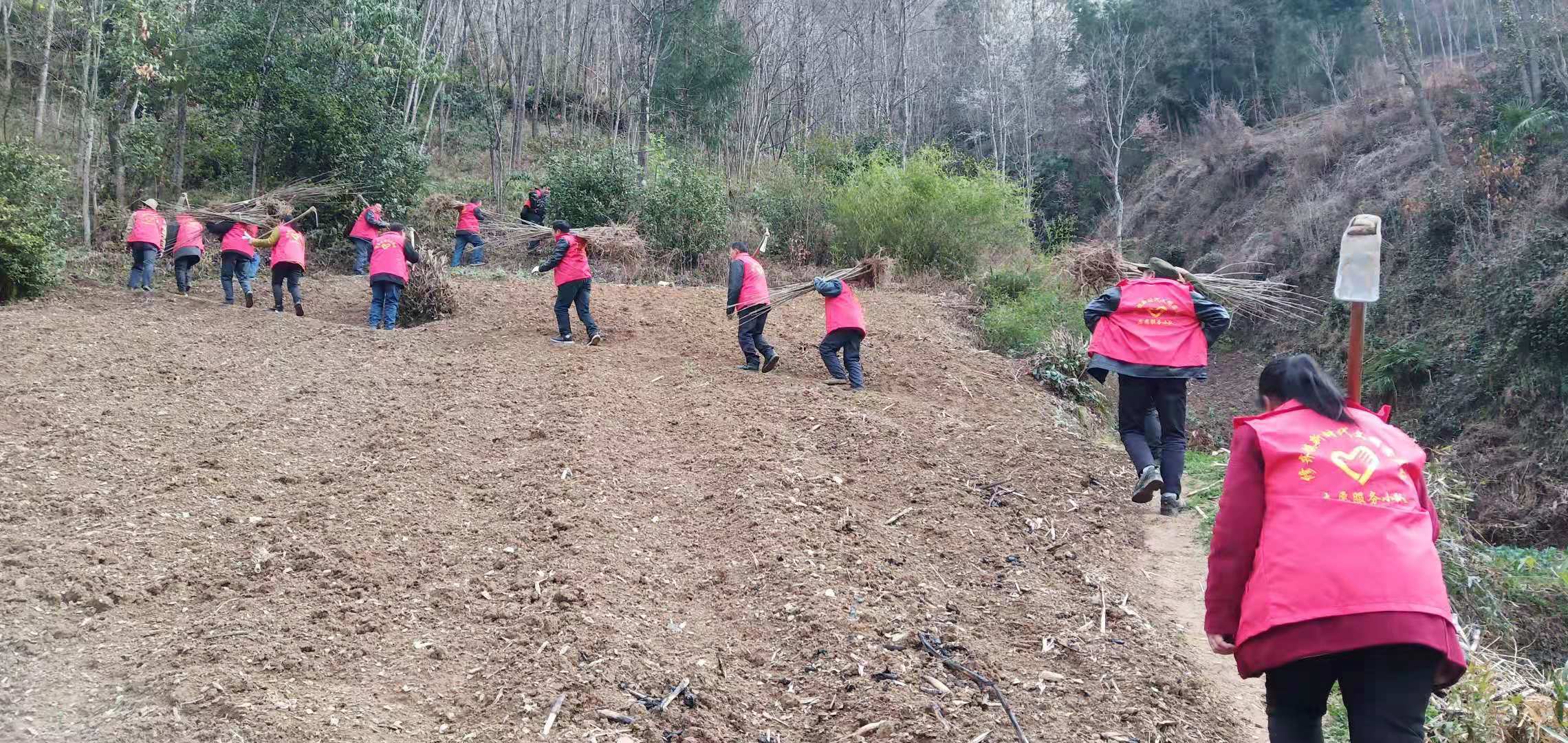 前往植树植树地点.jpg