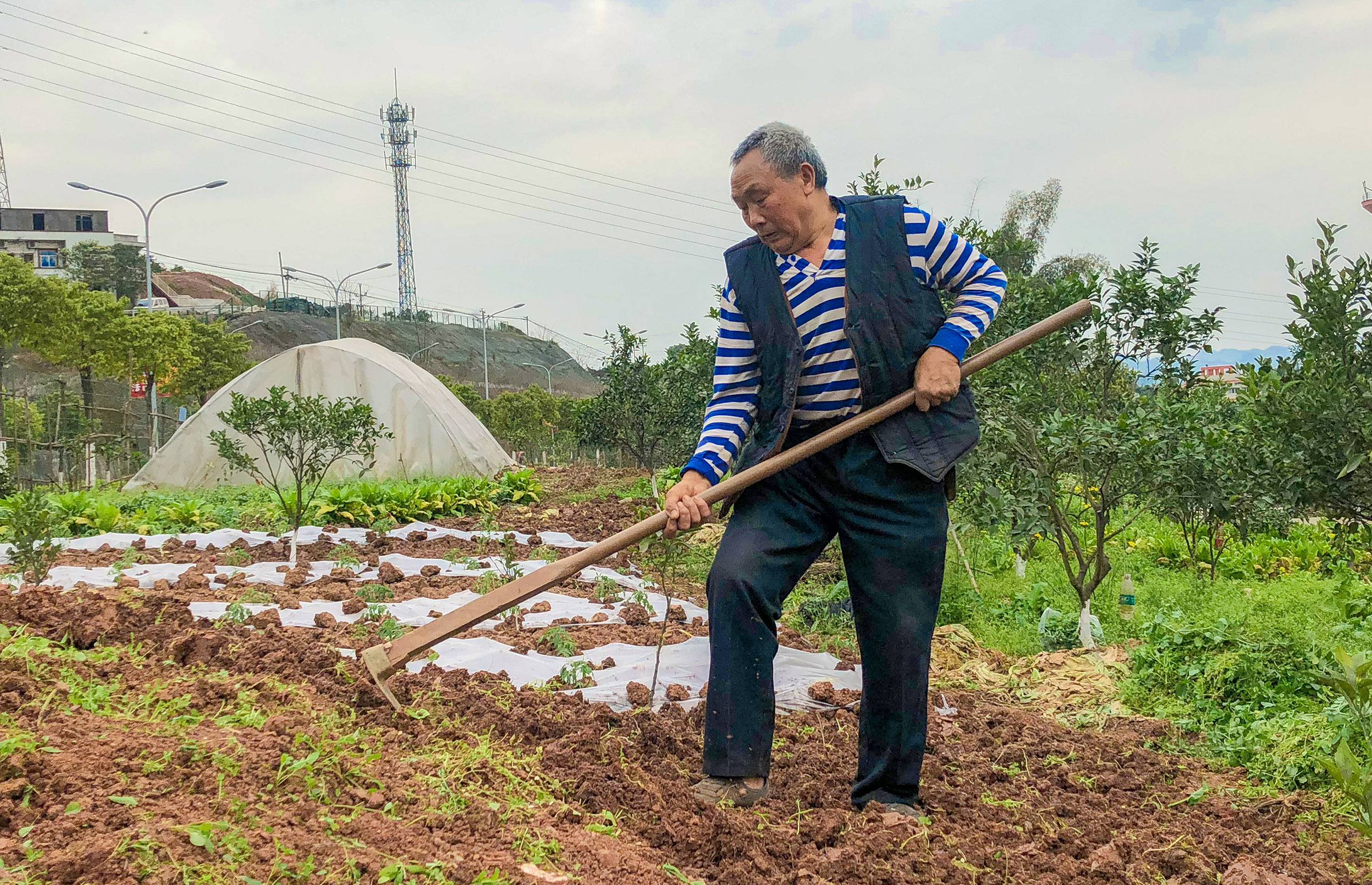 春耕前翻土.(摄影:朱晨鹭)