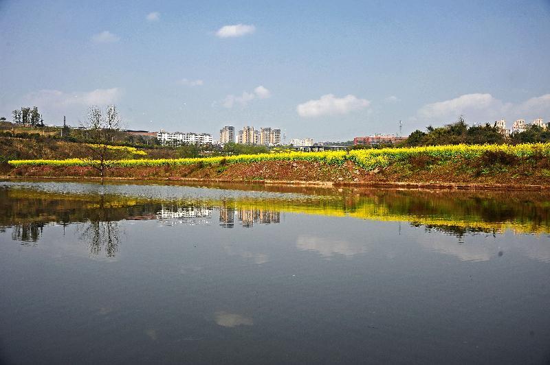 重庆涪陵:涞滩河 通往春天的"护城河"