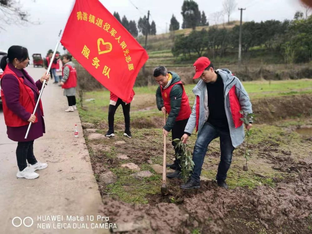 此图为镇领导和退役军人正在植树