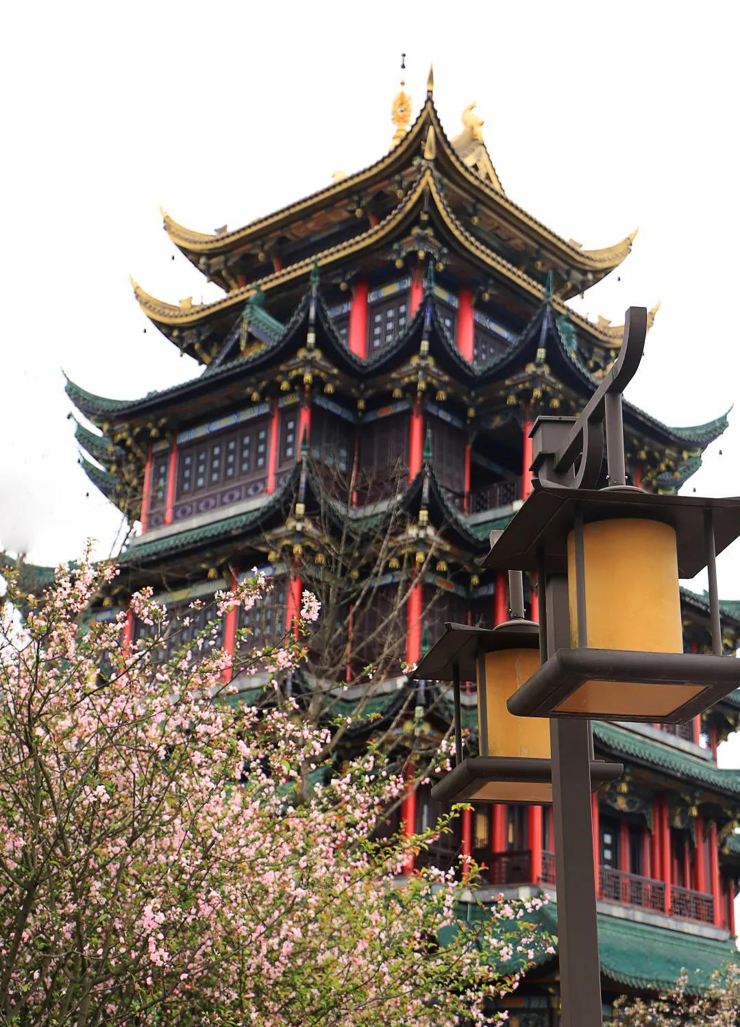 重庆江北三月鲜花开满鸿恩寺