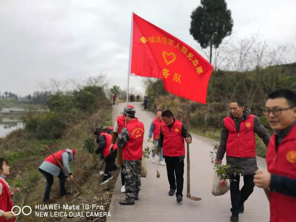 此图为退役军人植树中