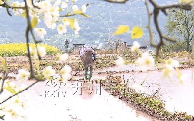 春雷陣陣迎甘霖春雨潤物春耕忙