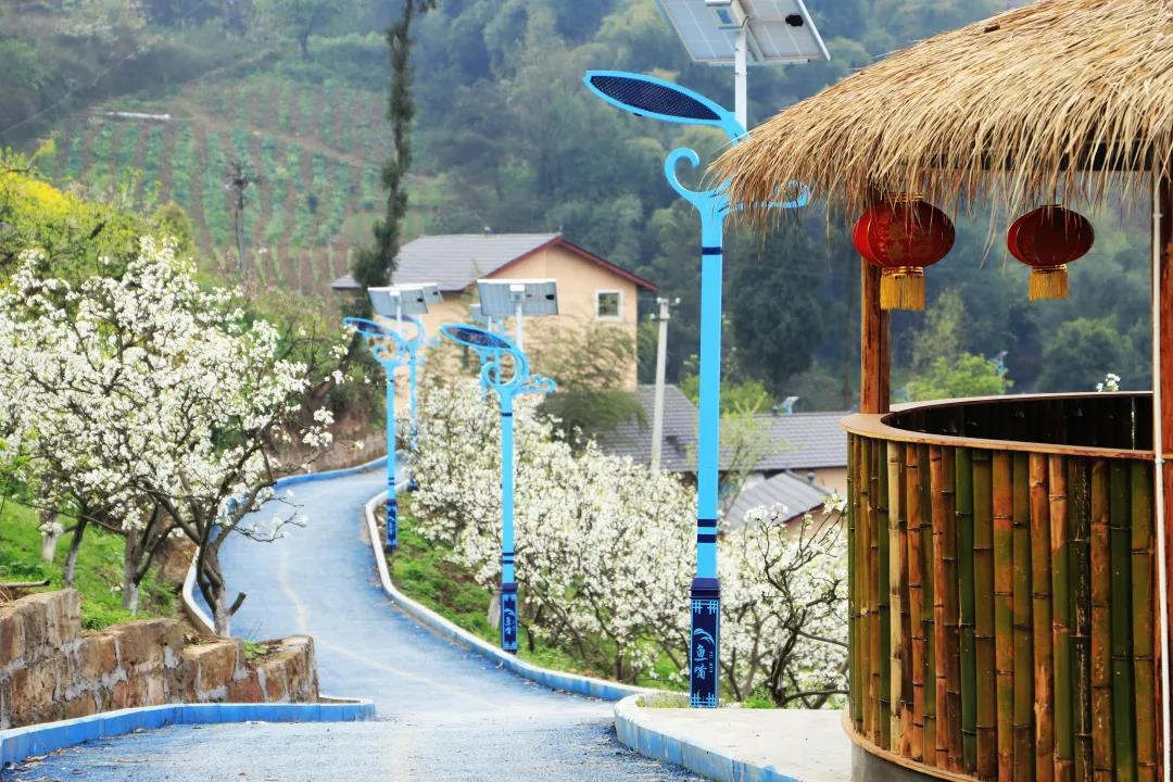 重庆江北:踏春赏花 鱼嘴这个村子有点好耍