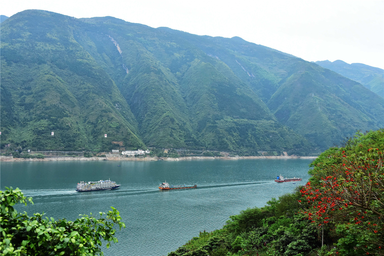 近年来,地处长江三峡生态屏障核心区的巫山县,坚定不移贯彻"共抓大