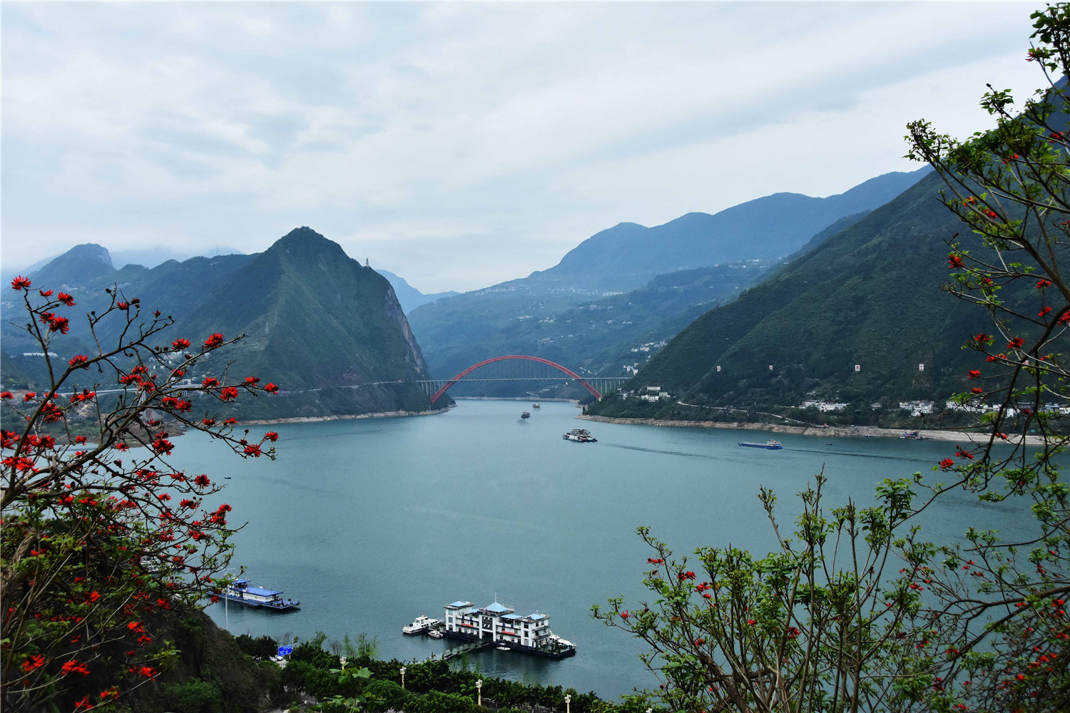 长江与大宁河交汇处,春意盎然.摄影:王忠虎