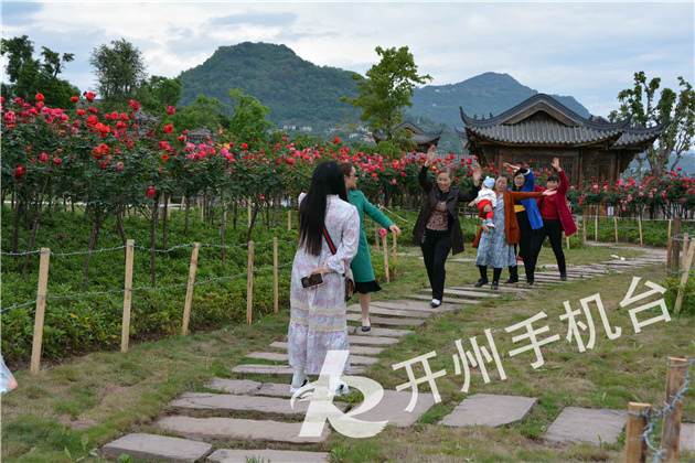 雷火电竞在线登录官网|汉丰湖北岸999棵玫瑰，向你发出浪漫邀约(图6)