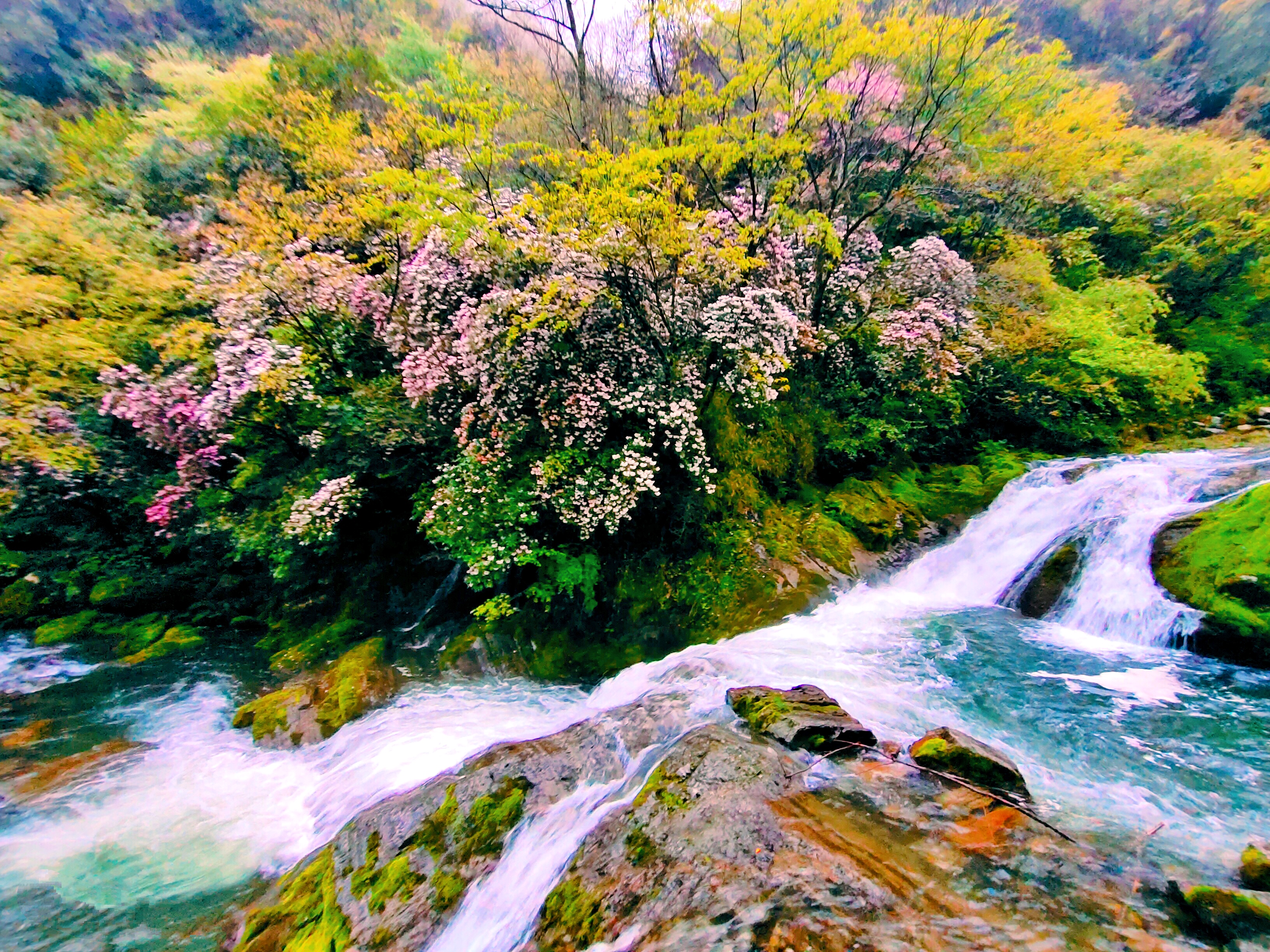 春天青山绿水花开图片图片