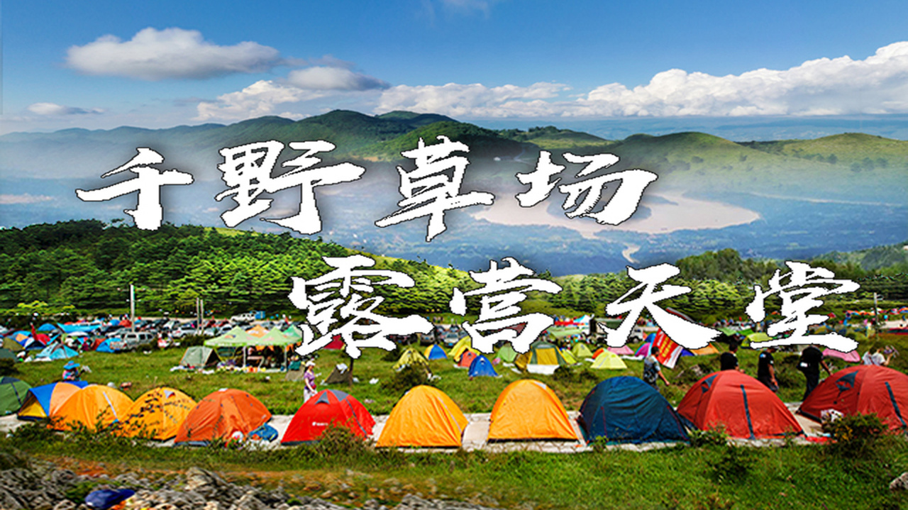 今天10:40,主播带你"云"赏千野草场——露营天堂!