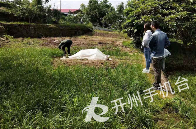 kaiyun官方网站-开州在抽查农产品质量安全，涉及竹溪、中和、临江、大进等9个镇乡街道