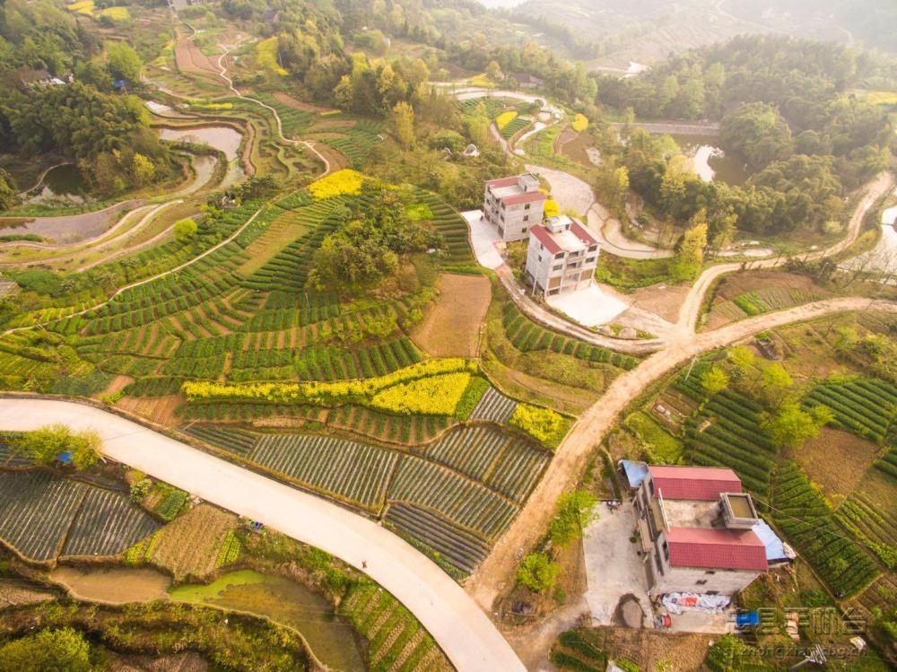 七彩大地】东溪镇翠屏村 绿色发展中一道靓丽的风景线-忠县手机台
