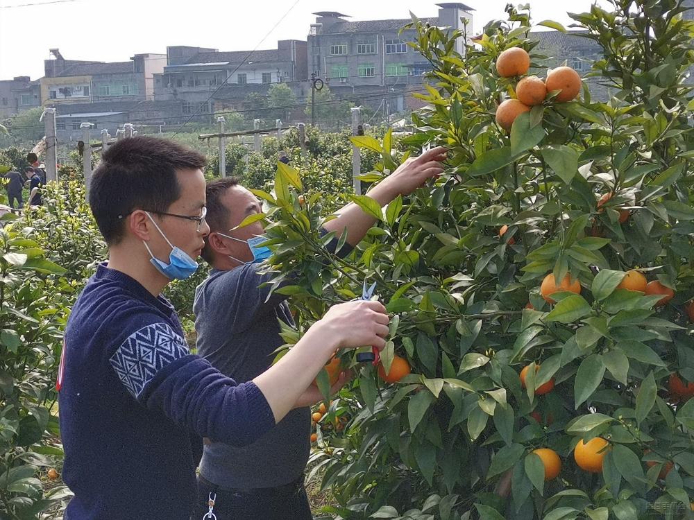 微信图片_20200409170935