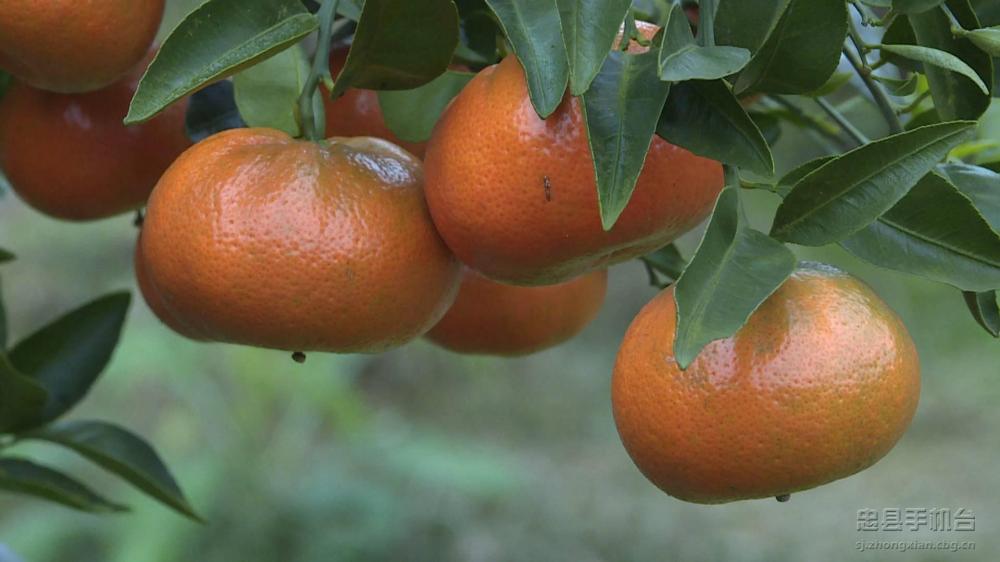 微信图片_20200120125216