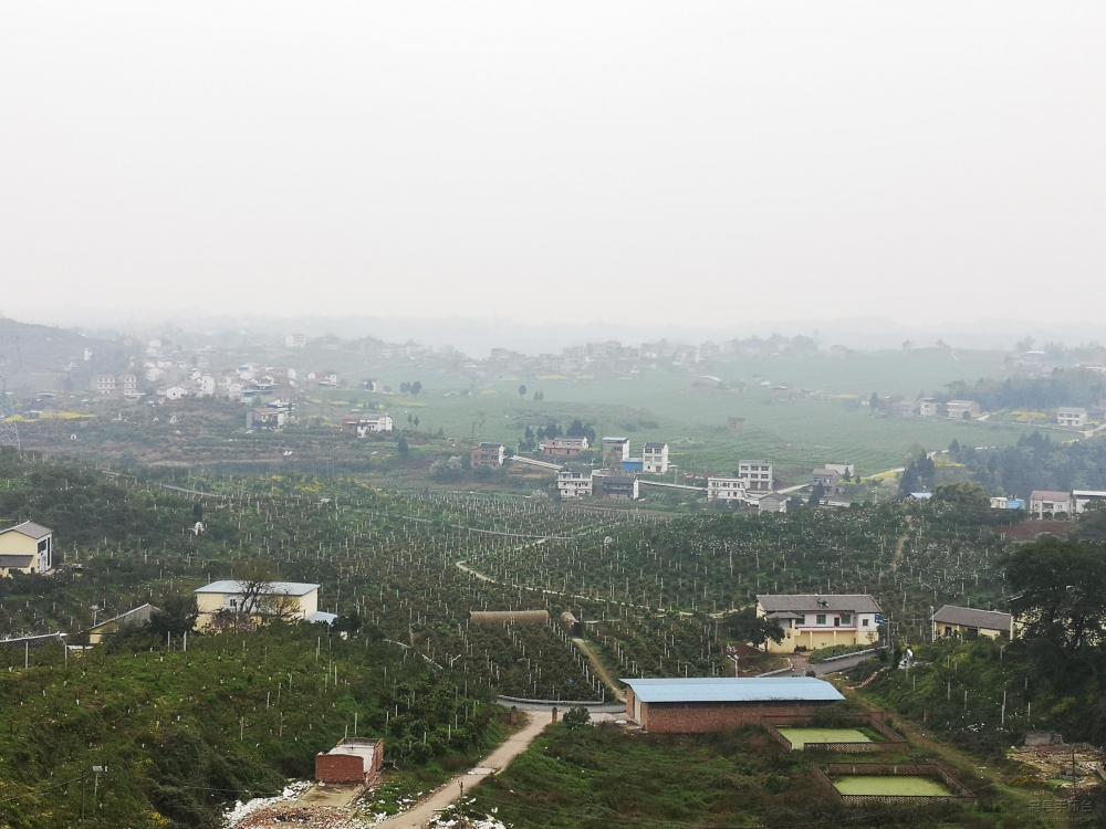 微信图片_20200318111006