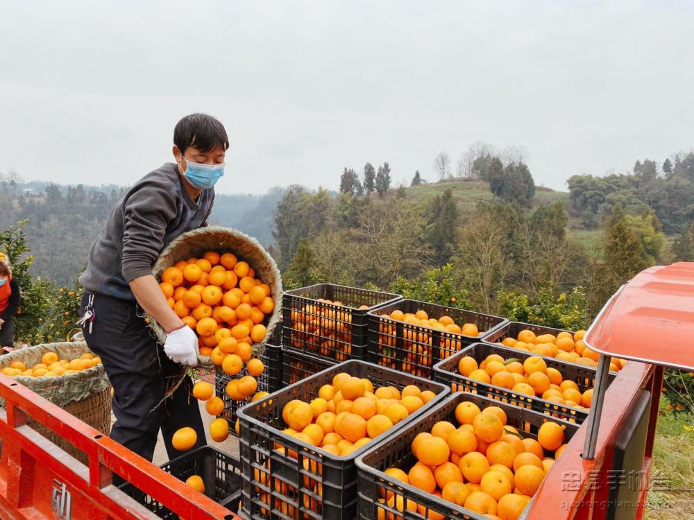 微信图片_20200219134603