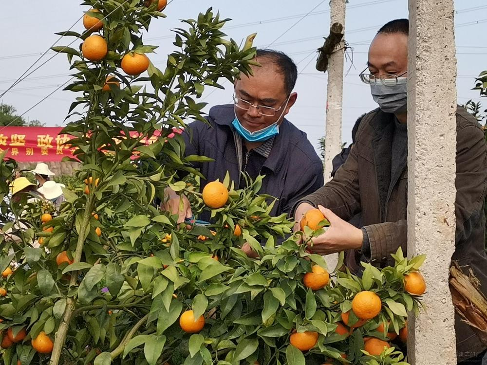 微信图片_20200409170827