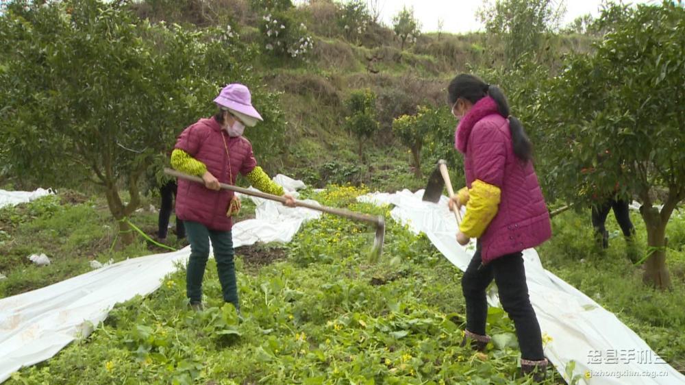 微信图片_20200209184740