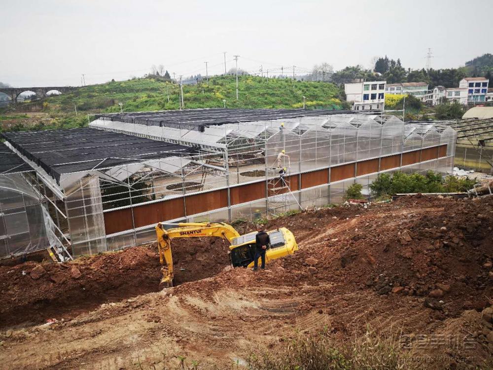 微信图片_20200322232114