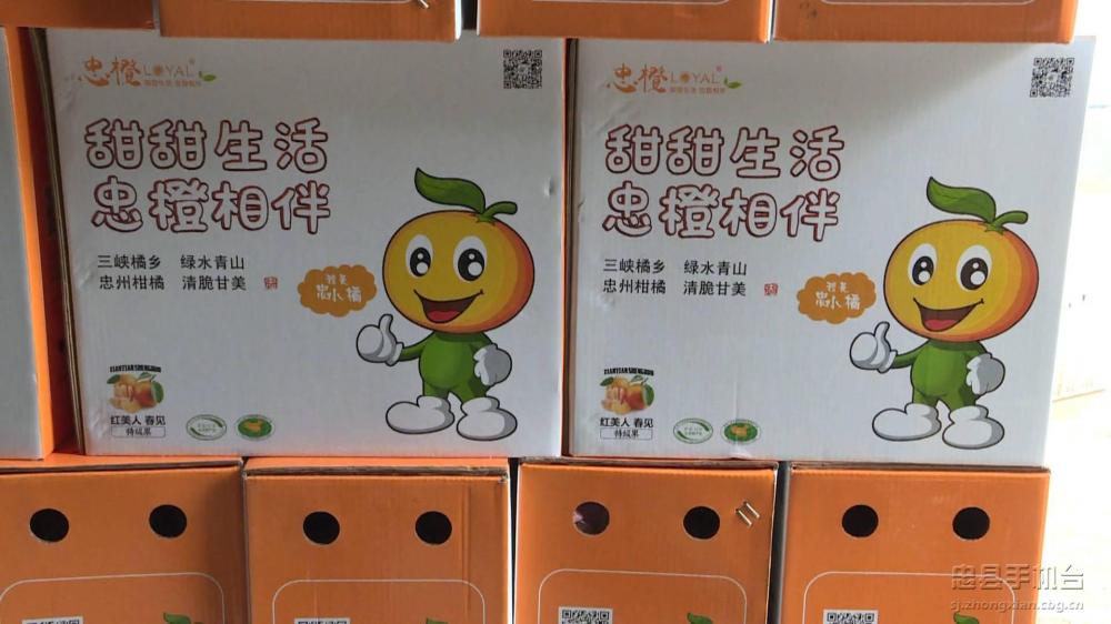 微信图片_20200313145544