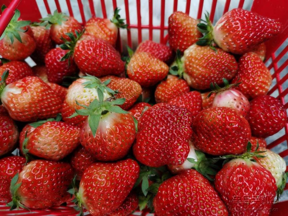 微信图片_20200417164736