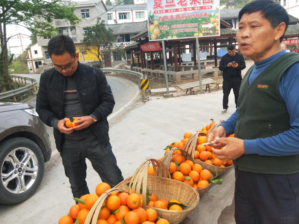 微信图片_20200329143355