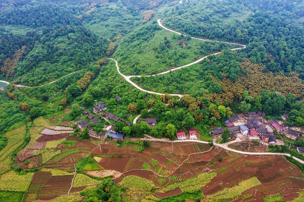 图为重庆市长寿区龙河镇永兴村双乐路.廖涛 摄