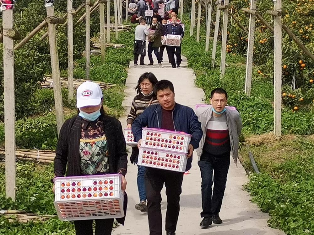 微信图片_20200409170859