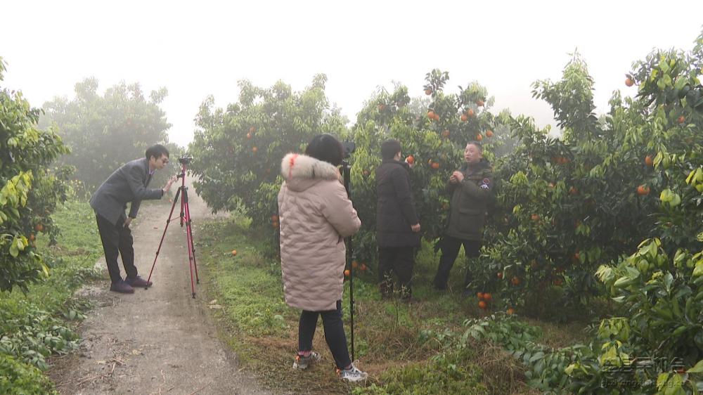 微信图片_20210118154539