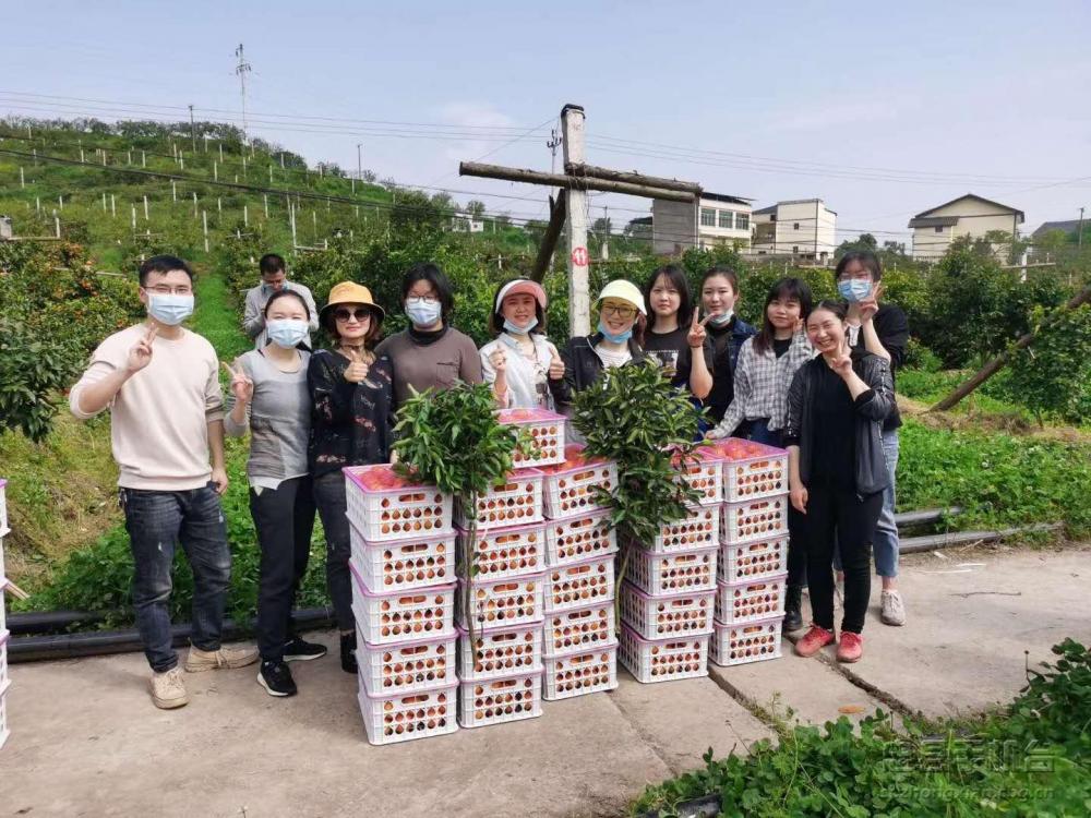 微信图片_20200409170800