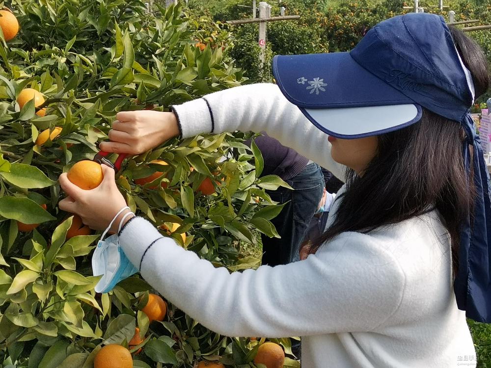 微信图片_20200409170827