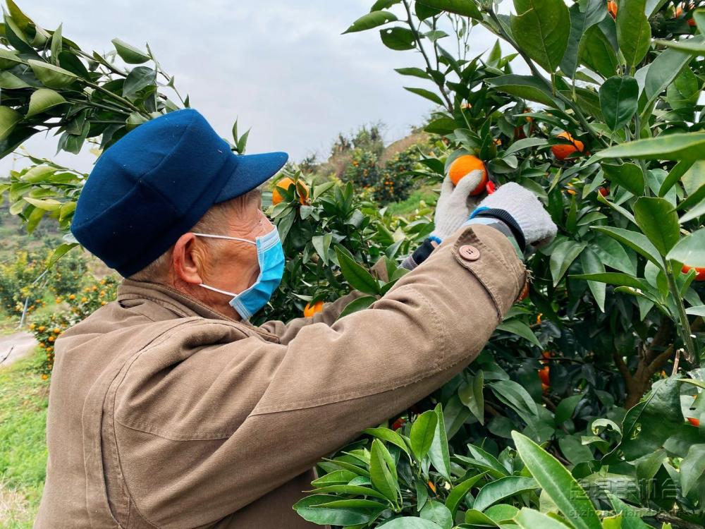 微信图片_20200219134606