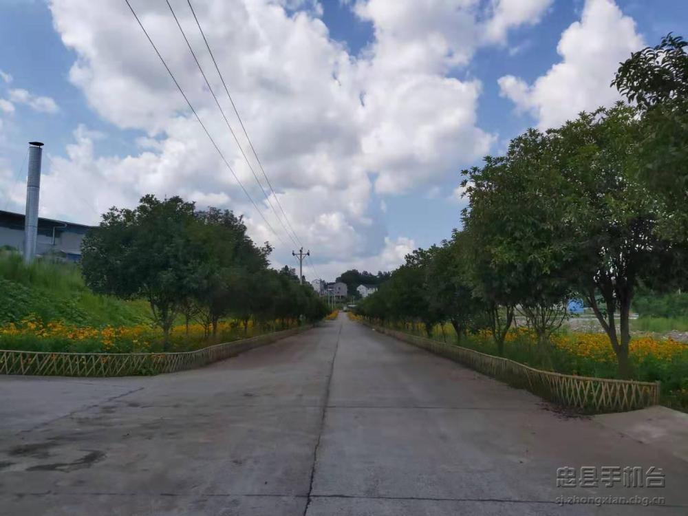 首页 乡镇街道 永丰镇 正文