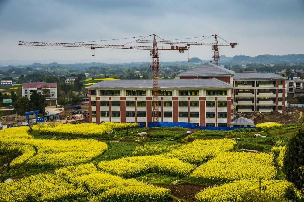 大美忠州快来看忠县拔山镇在油菜花中美爆啦