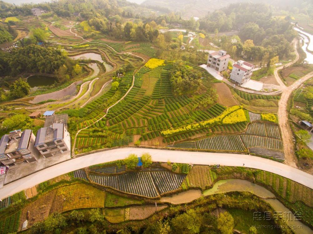 七彩大地】东溪镇翠屏村 绿色发展中一道靓丽的风景线-忠县手机台