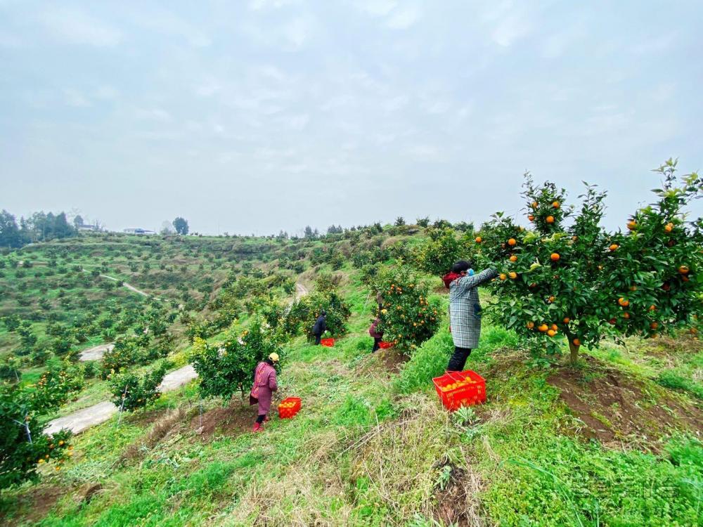 微信图片_20200219134610