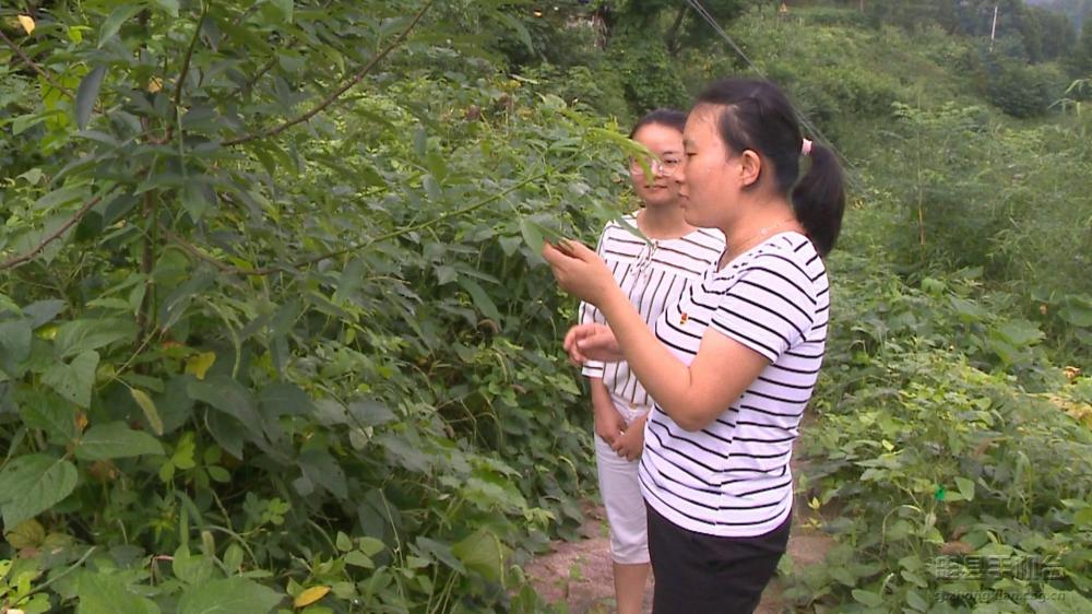 微信图片_20200712130629