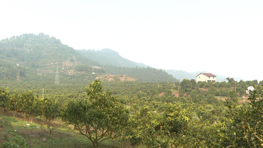 微信图片_20210118154524